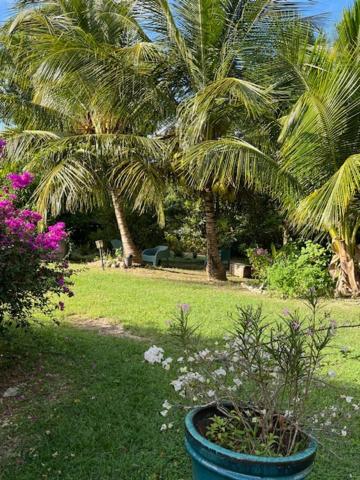 Jardin Des Anges-Bungalows Creoles Et Studio เลอ มูเล่ ภายนอก รูปภาพ
