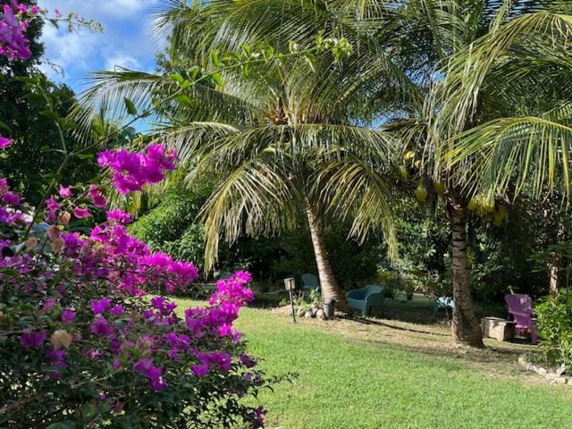 Jardin Des Anges-Bungalows Creoles Et Studio เลอ มูเล่ ภายนอก รูปภาพ