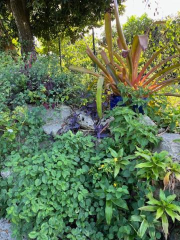 Jardin Des Anges-Bungalows Creoles Et Studio เลอ มูเล่ ภายนอก รูปภาพ