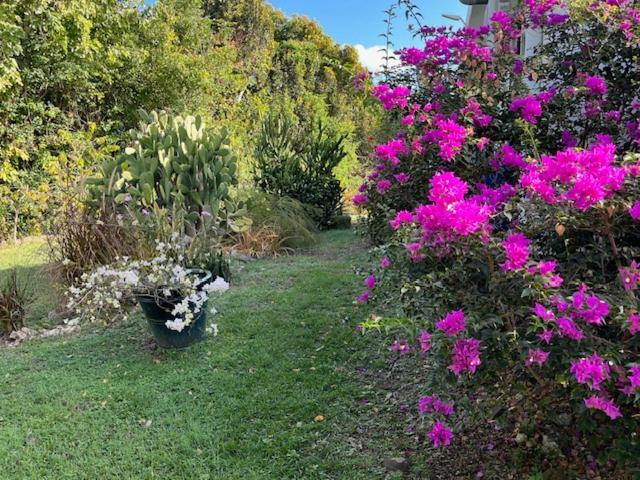 Jardin Des Anges-Bungalows Creoles Et Studio เลอ มูเล่ ภายนอก รูปภาพ